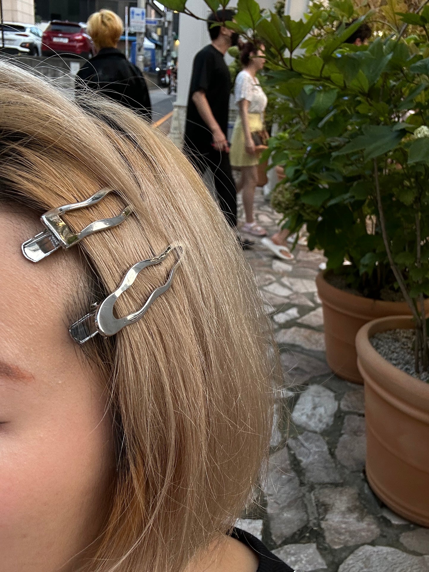 Silver hair clips